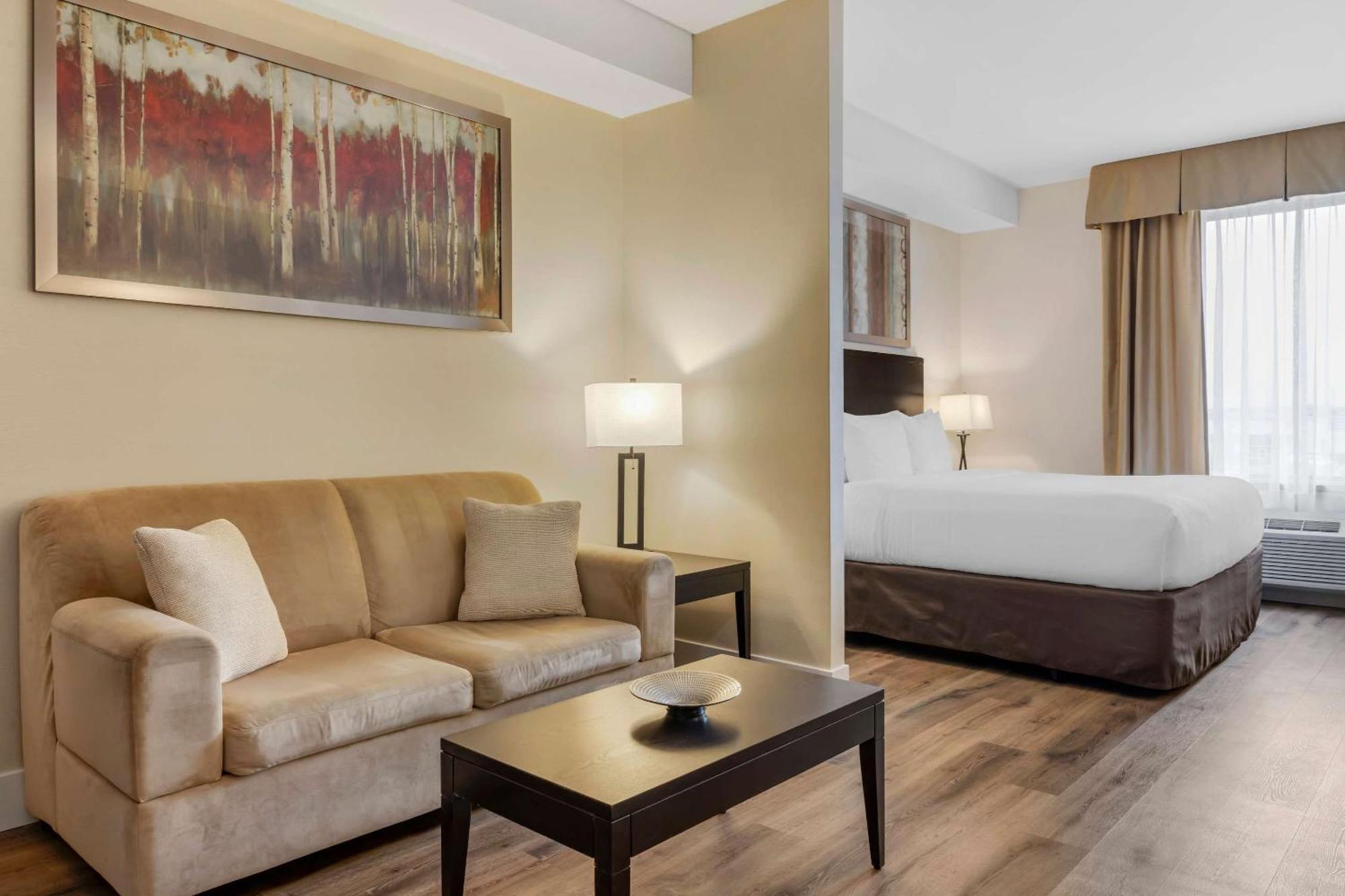 Comfort Hotel Bayer'S Lake Halifax Exterior photo